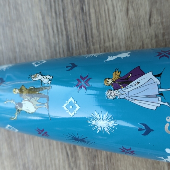 Disney frozen sip by swell kids water bottle - Picture 2 of 5